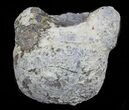 Crystal Filled Dugway Geode #33180-1